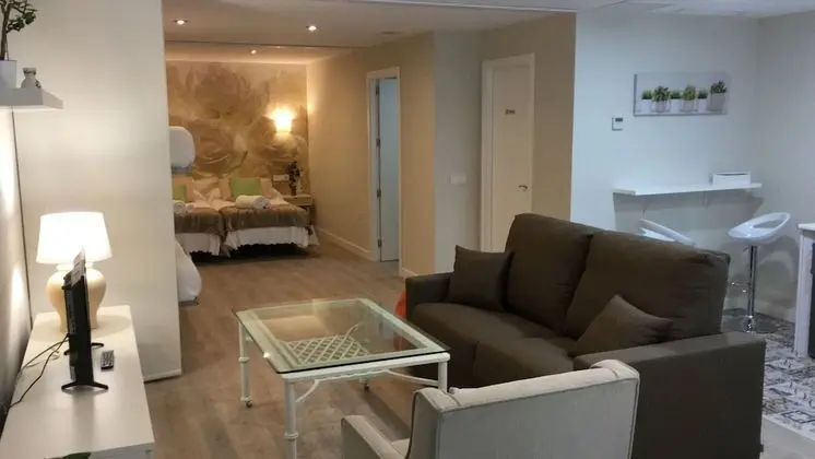Çatı Katı (Loft), 1 Yatak Odası