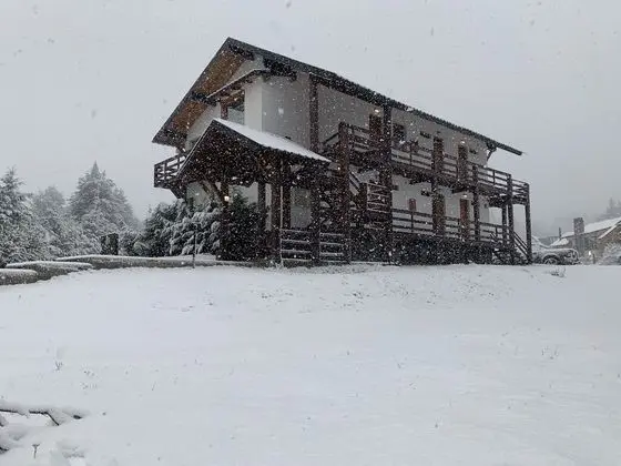 Basic Stüdyo