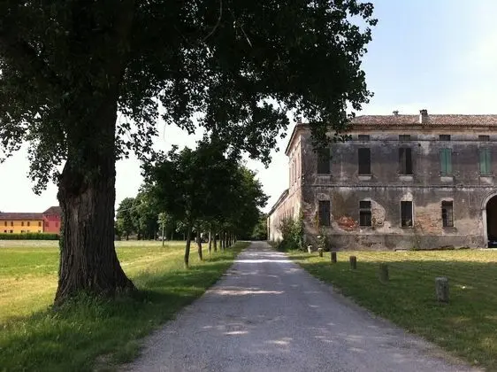 Apart Daire, 2 Yatak Odası, Şömine