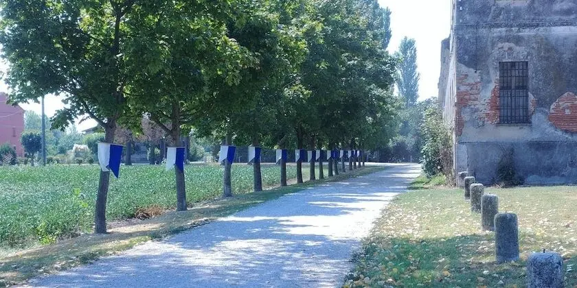 Apart Daire, 2 Yatak Odası, Şömine