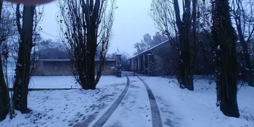 Apart Daire, 2 Yatak Odası, Şömine