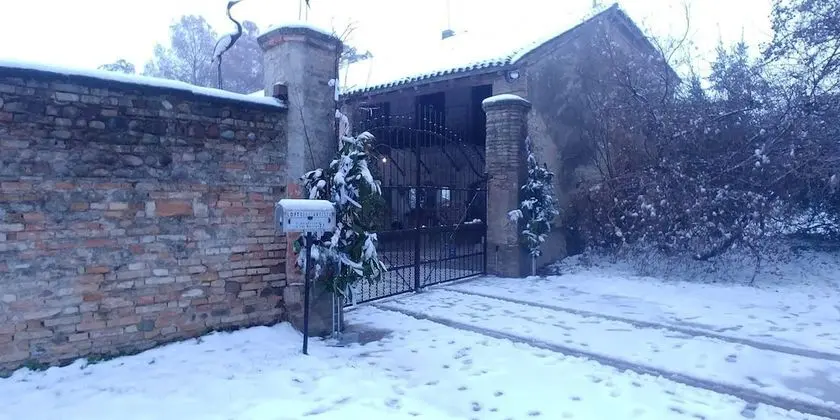 Apart Daire, 2 Yatak Odası, Şömine