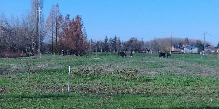 Apart Daire, 2 Yatak Odası, Şömine