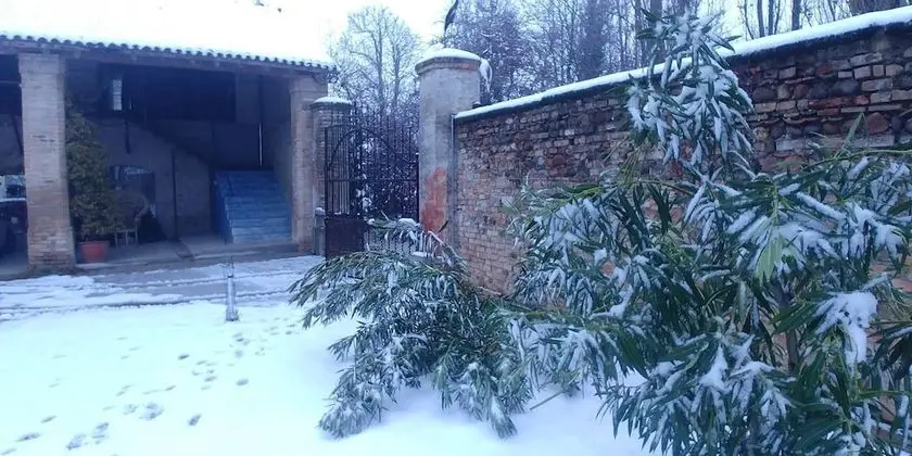 Apart Daire, 2 Yatak Odası, Şömine