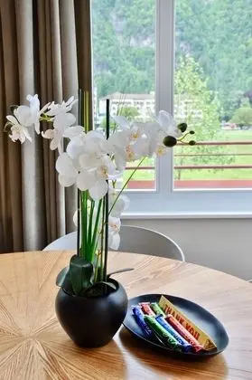 Luxury Apart Daire (incl. 125 CHF cleaning fee)