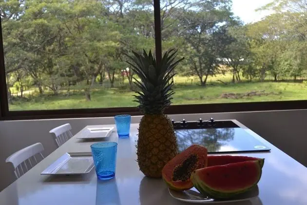 Family Çatı Katı (Loft), Birden Çok Yatak, Bahçe Manzaralı