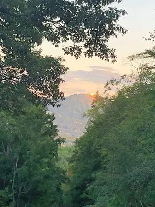 Stüdyo, 1 Yatak Odası, Şömine