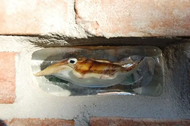 Apart Daire, 1 Yatak Odası, Teras