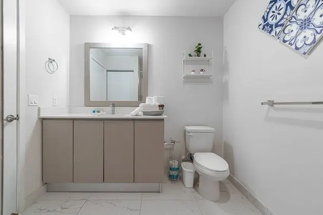Superior Çatı Katı (Loft)
