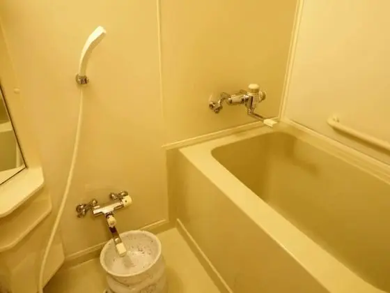 Standard Kır Evi, Sigara İçilebilir (Room Only)