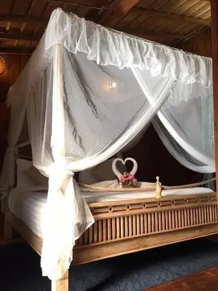 Family Oda, Şehir Manzaralı