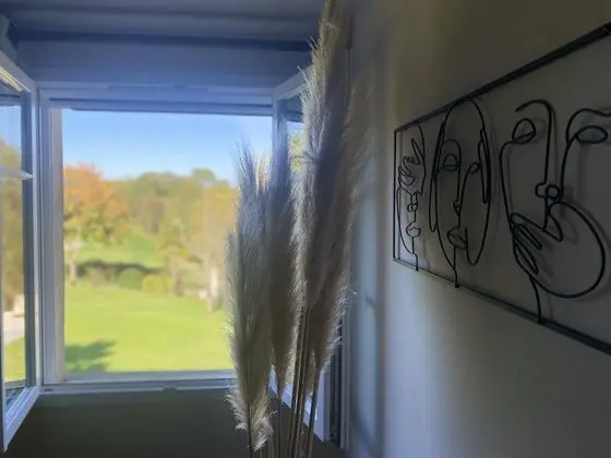 Superior Tek Büyük Yataklı Oda, Özel Banyo, Bahçe Manzaralı