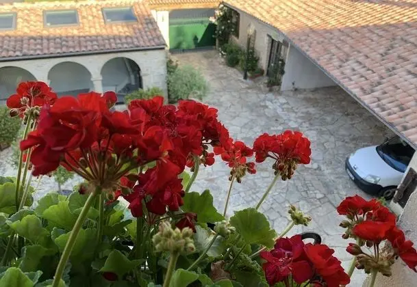 Tek Büyük veya İki Ayrı Yataklı Oda (Le jardin de Léontine)