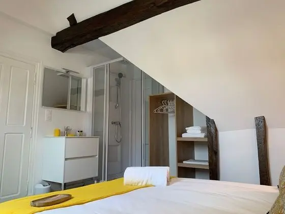 Exclusive Çatı Katı (Loft), Özel Banyo (Dernier étage)