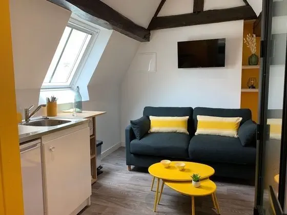 Exclusive Çatı Katı (Loft), Özel Banyo (Dernier étage)