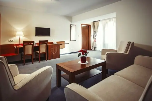 Business Tek Kişilik Oda, 1 Yatak Odası, Kule