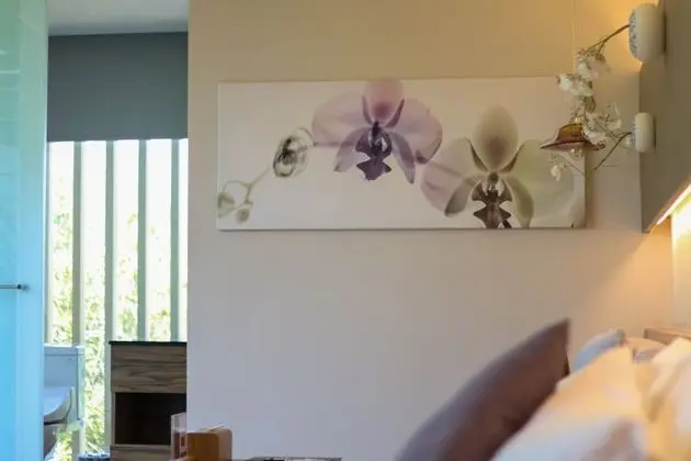 Luxury Tek Büyük Yataklı Oda, 1 En Büyük (King) Boy Yatak, Bahçe Manzaralı
