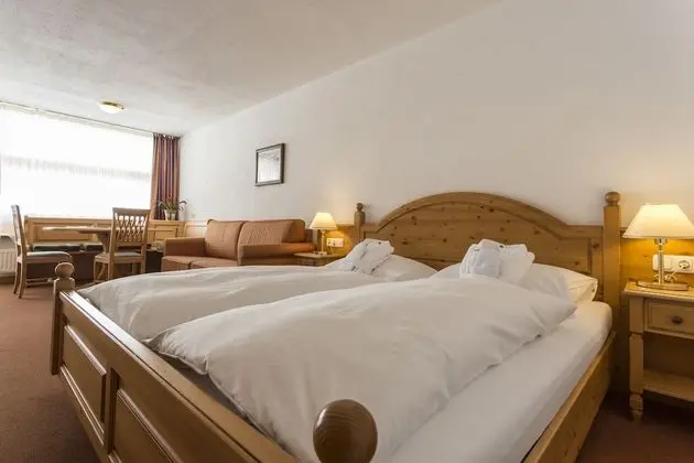 Tek Büyük Yataklı Oda, Balkon, Dağ Manzaralı (Similaun)
