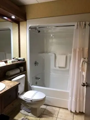 Comfort Büyük Yataklı Tek Kişilik Oda, 1 Büyük (Queen) Boy Yatak, Havuz Manzaralı