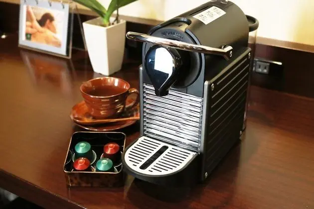 Deluxe İki Ayrı Yataklı Oda, Sigara İçilebilir