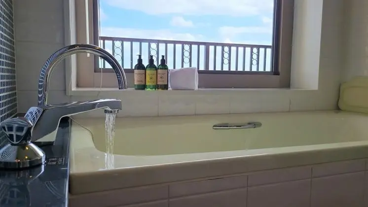 Deluxe İki Ayrı Yataklı Oda, Sigara İçilmez (Spa Deluxe)