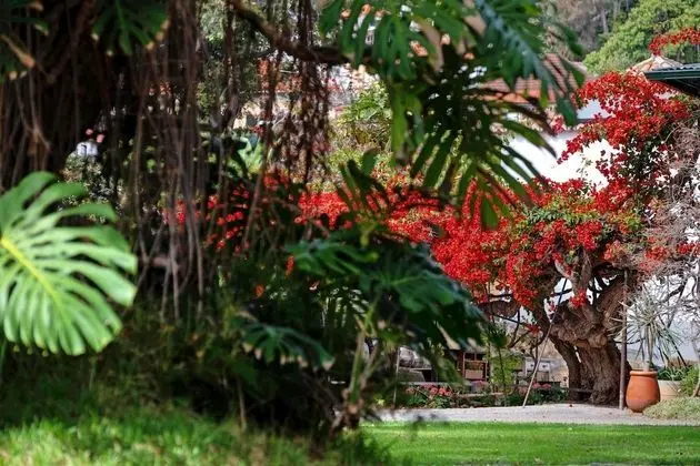 Kır Evi, 1 Çift Kişilik Yatak