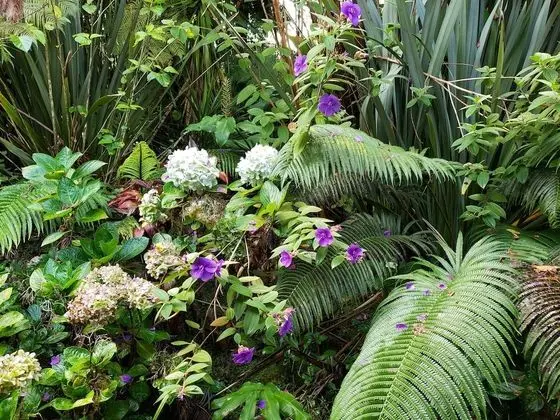 Standard Oda, 1 Büyük (Queen) Boy Yatak, Bahçe Manzaralı (Lokahi Lodge)