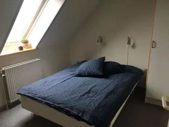 Premium Ev, 2 Yatak Odası, Teras