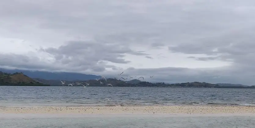 Süit, 1 Çift Kişilik Yatak, Deniz Manzaralı