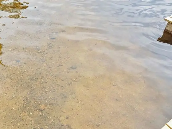 Ev