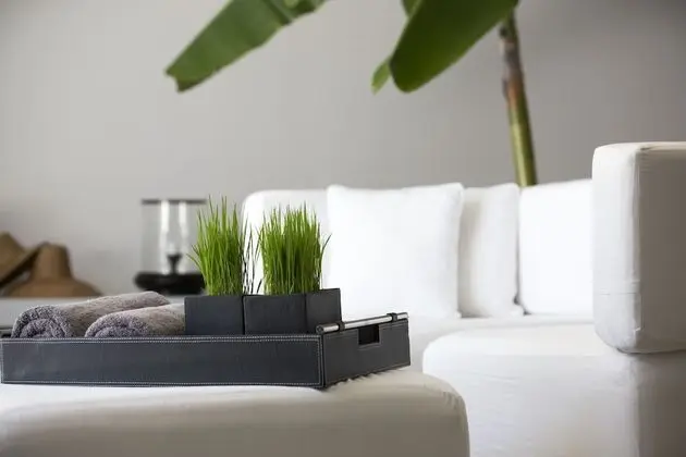 Luxury Süit, Okyanus Manzaralı (Lodge Suite)
