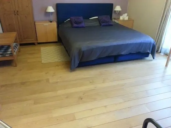 Standard İki Ayrı Yataklı Oda, 1 Çift Kişilik Yatak