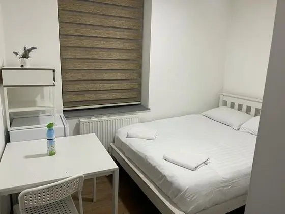 Basic Tek Büyük Yataklı Oda, Banyolu/Duşlu