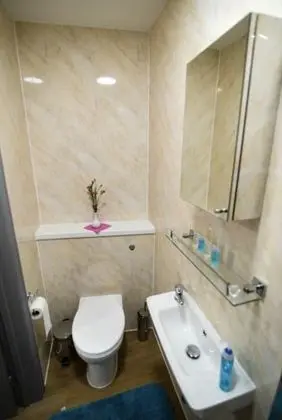 Basic Tek Büyük Yataklı Oda, Banyolu/Duşlu