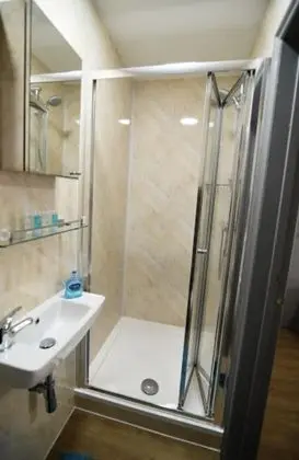 Superior Tek Büyük Yataklı Oda, Özel Banyo