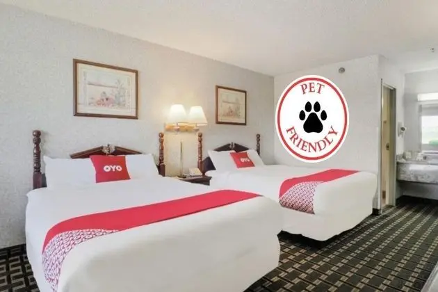 Oda, 2 Büyük (Queen) Boy Yatak