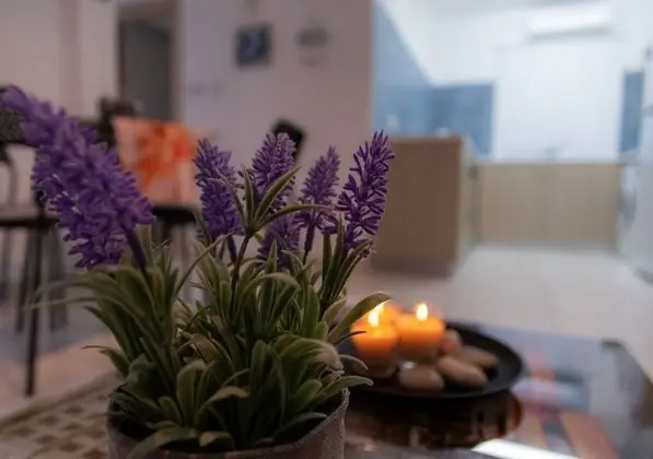 Apart Daire, 1 Yatak Odası, Veranda, Havuz Manzaralı