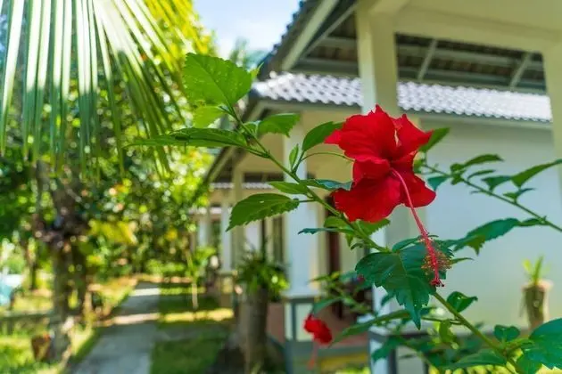 Deluxe Bungalov, Havuz Manzaralı