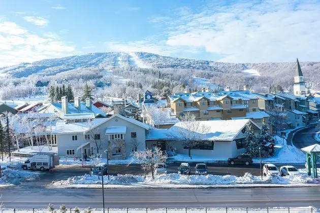 Daire, 1 Yatak Odası