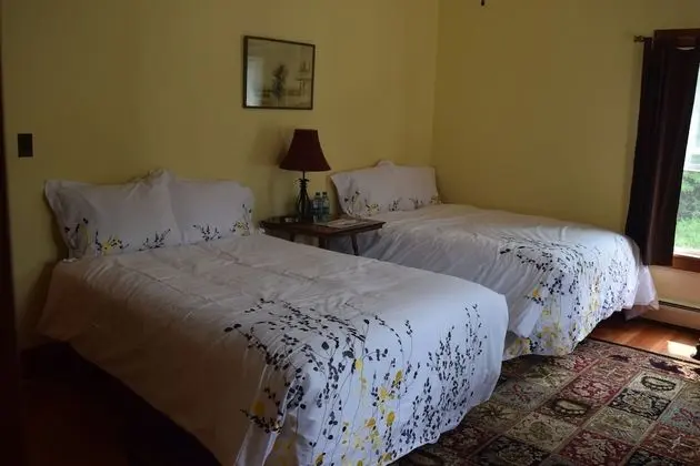 Standard Dört Kişilik Oda, 2 Büyük (Queen) Boy Yatak
