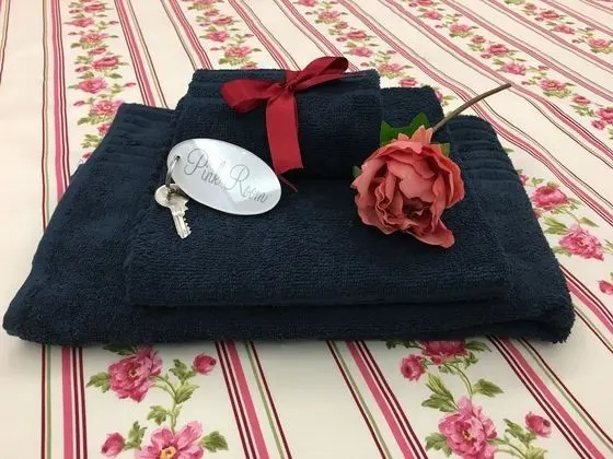 Deluxe Tek Büyük Yataklı Oda (Pink Room)