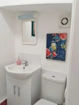 Tek Büyük Yataklı Oda, Banyolu/Duşlu