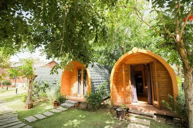 Ev (Wooden)