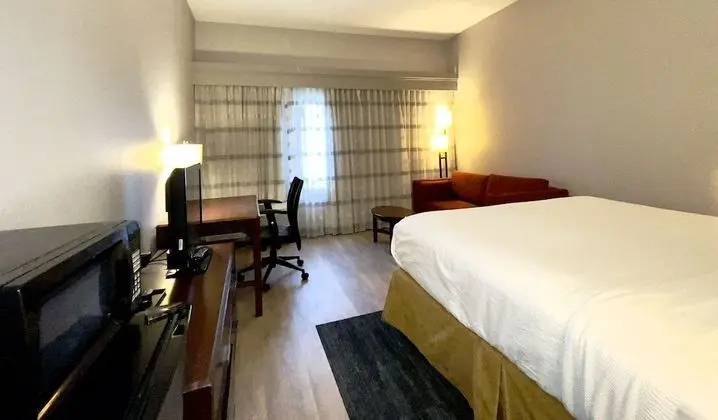 Tek Kişilik Oda, 1 En Büyük (King) Boy Yatak, Engellilere Uygun, Sigara İçilmez
