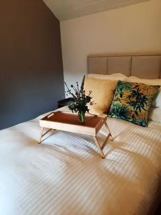Luxury Tek Büyük Yataklı Oda, 1 En Büyük (King) Boy Yatak