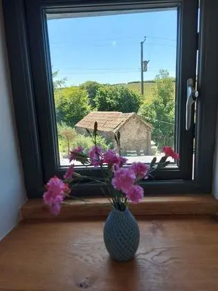 Luxury Tek Büyük Yataklı Oda, 1 En Büyük (King) Boy Yatak