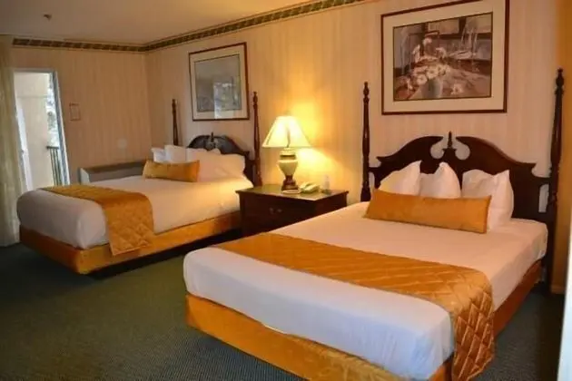 Standard Oda, 2 Çift Kişilik Yatak, Göl Manzaralı