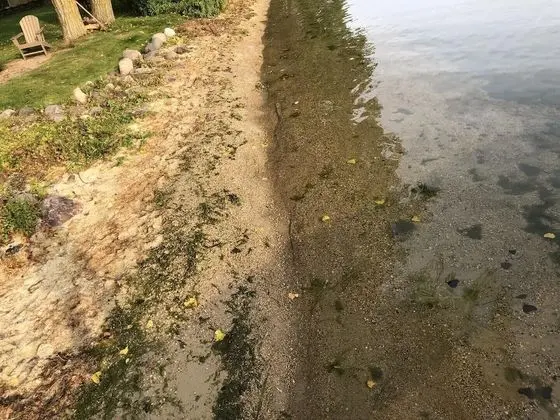 Kulübe, Birden Çok Yatak, Mutfak