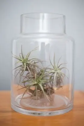 Deluxe Süit, Koy Manzaralı