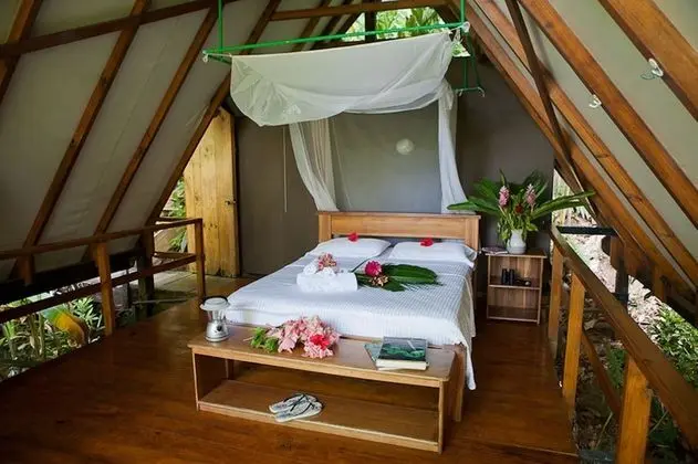 Tiki Hut